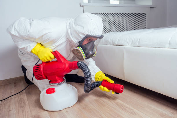 Best Real Estate Pest Inspections  in Breckenridge, MI